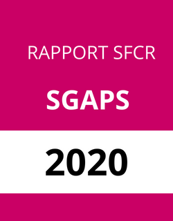 SGAPS BTP - EXERCICE 2020