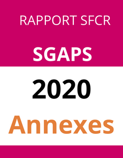 SGAPS BTP - EXERCICE 2020 ANNEXES